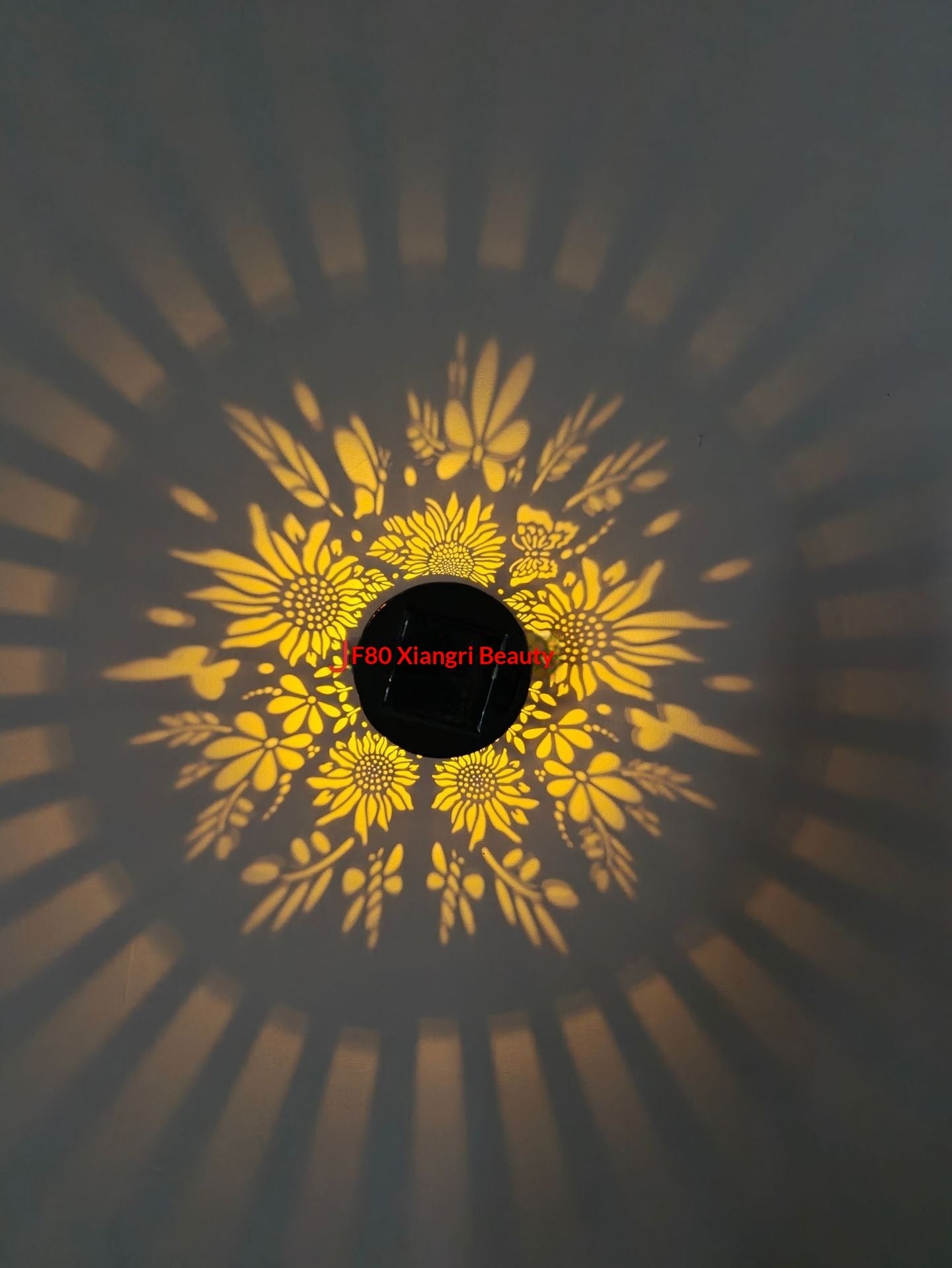 Solar Outdoor Wall Light Projector