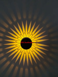 Solar Outdoor Wall Light Projector