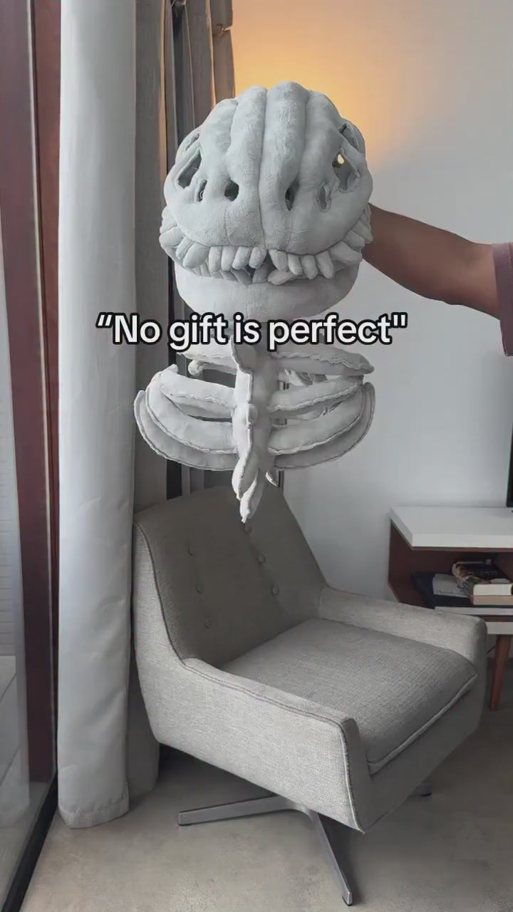 Cute Realistic Dinosaur Skeleton Plush Toy video