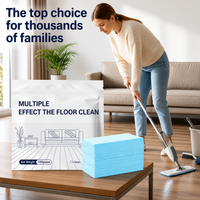 Piece Floor Cleaning Tablets — Multi-Surface Cleaner | Pack of 100